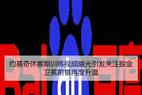 约基奇休赛期训练视频曝光引发关注掘金卫冕前景再度升温