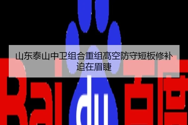山东泰山中卫组合重组高空防守短板修补迫在眉睫